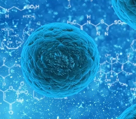 After the Paradigm Case: Where the Risks Are in the Peptide Market, and How to Protect Yourself